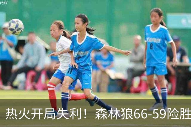 热火开局失利！森林狼66-59险胜，探究败因背后的真相